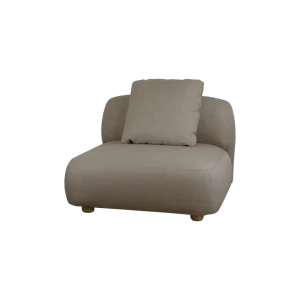 Capture módulo individual