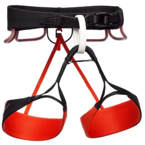 Arnés Black Diamond Zone Wm