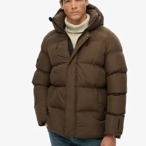 Plumas Superdry con Capucha Marrón Hombre