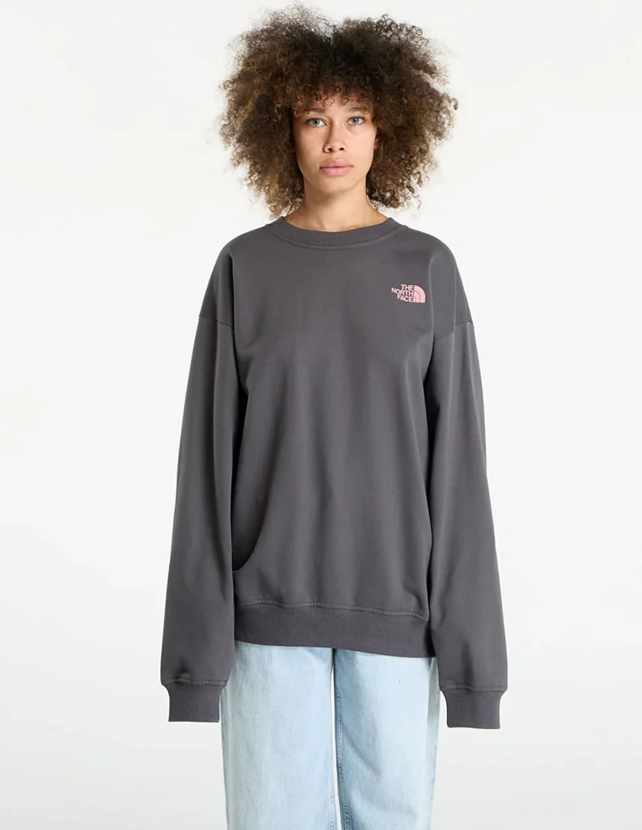 Sudadera The North Face U Expedition Celebration Oversized Gris Unisex - Imagen 4