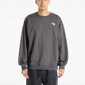 Sudadera The North Face U Expedition Celebration Oversized Gris Unisex