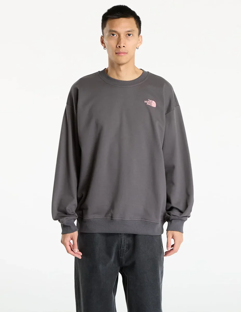 Sudadera The North Face U Expedition Celebration Oversized Gris Unisex