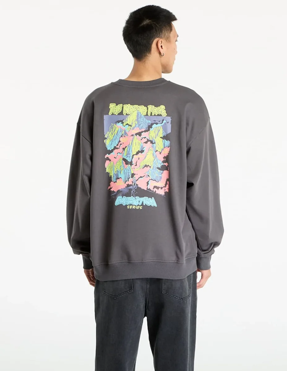 Sudadera The North Face U Expedition Celebration Oversized Gris Unisex - Imagen 3