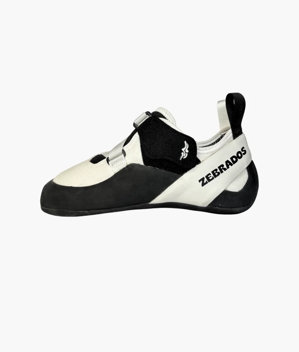 Pies de gato Zebrados Equus 1.0 - Imagen 4