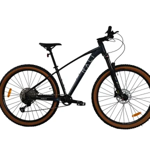 Bicicleta Rali ADV-0 29´´