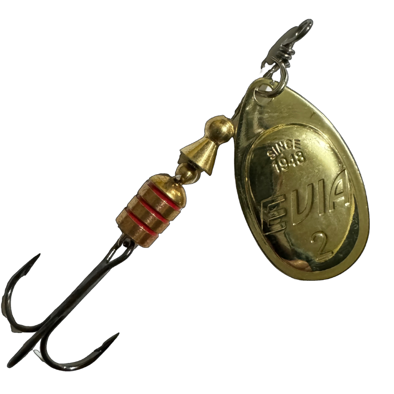 Spinners EVIA Coe Mod 12/12F - Imagen 5