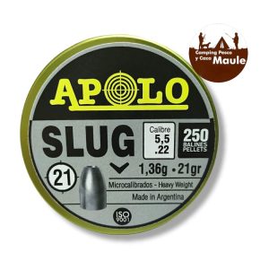 SLUG APOLO .22